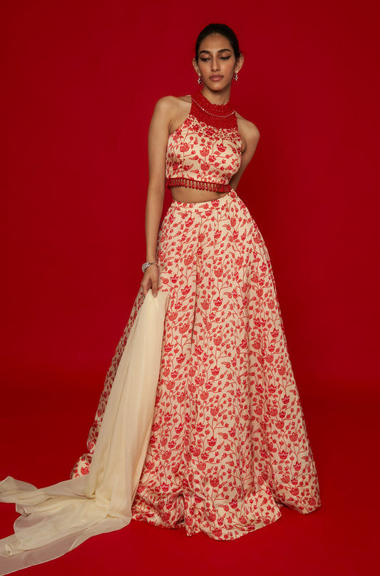 Cream & Red Lehenga Set